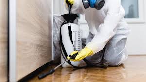 Best Termite Inspection and Treatment  in Long Grove, IL